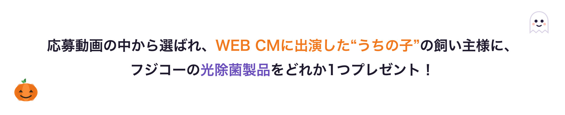 WEB CMに出演した“うちの子”の飼い主様に光除菌製品をプレゼント