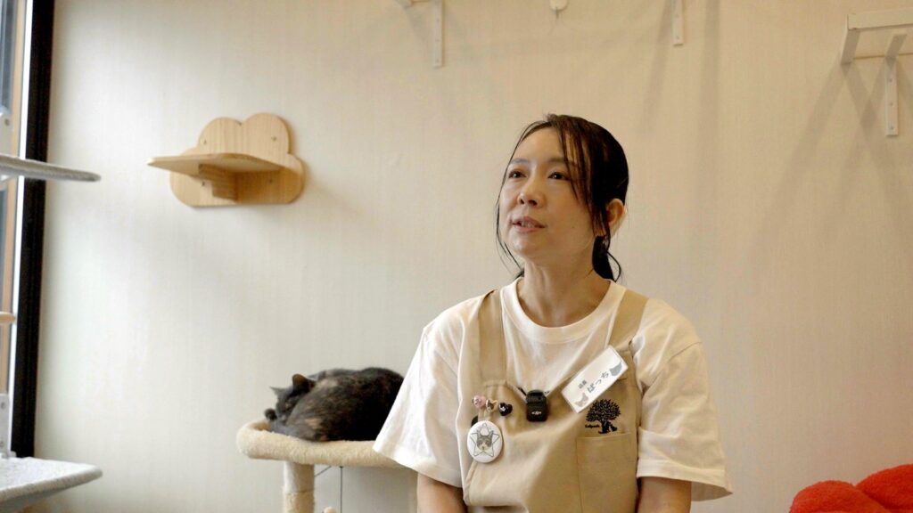 インタビューに答えるKaipoohの店長