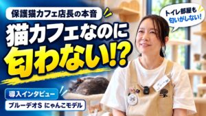 【導入事例】「正直、必要ないと思っていた」保護猫カフェ Kaipoohさんに聞いた、にゃんこモデルの本音